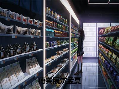 精选小说傅宴宸沈孟夏(沈孟夏傅宴宸)全本阅读_沈孟夏傅宴宸免费阅读_笔趣阁