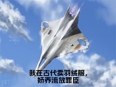 我在古代卖羽绒服,娇养流放罪臣(李九歌孟凡晨)全文免费阅读无弹窗大结局_(李九歌孟凡晨)免费阅读无弹窗最新章节列表