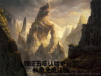 陆宴池江暖小说领证五年认错老公后我负全责江暖完整版大结局-陆宴池江暖小说完结版在线阅读
