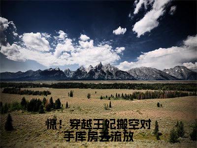 苏暖暖小说全文免费阅读_(苏暖暖)惊!穿越王妃搬空对手库房去流放小说最新章节列表笔趣阁