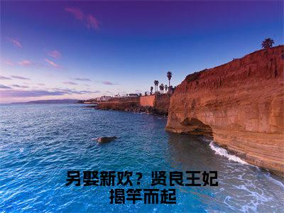 另娶新欢？贤良王妃揭竿而起最新章节（宋菀宁顾曜缨）小说推荐阅读-新书另娶新欢？贤良王妃揭竿而起精彩阅读
