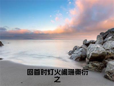 宋薇薇秦衍之小说免费阅读无弹窗大结局,回首时灯火阑珊秦衍之最新章节列表