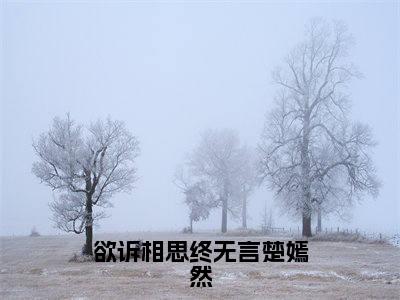 （沈斯言楚嫣然）全文免费阅读无弹窗大结局-欲诉相思终无言楚嫣然小说最新章节列表