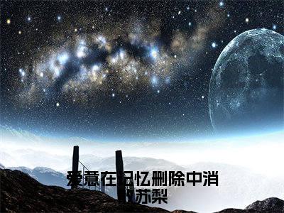 爱意在记忆删除中消散苏梨陆瑾时苏梨最新章节免费阅读-爱意在记忆删除中消散苏梨小说推荐陆瑾时苏梨精彩章节在线阅读