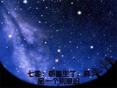 后续+免费七零：都重生了，极品一个别想逃（苏如意肖垚）全文小说在线阅读-七零：都重生了，极品一个别想逃全章节最新阅读