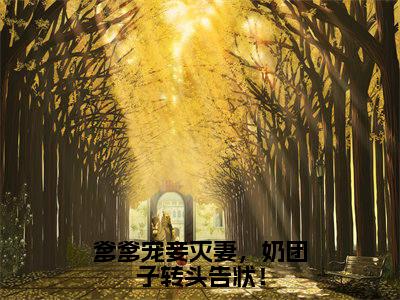 爹爹宠妾灭妻，奶团子转头告状！（闻奕辰桑茶茶）全文免费阅读无弹窗完整版，（爹爹宠妾灭妻，奶团子转头告状！）免费阅读全文最新章节列表_笔趣阁