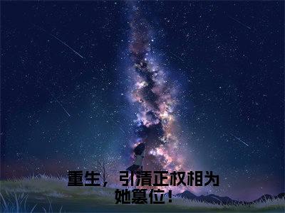 重生，引清正权相为她篡位！（陆九章叶皖宁）全文免费阅读无弹窗大结局_重生，引清正权相为她篡位！热门小说最新章节阅读
