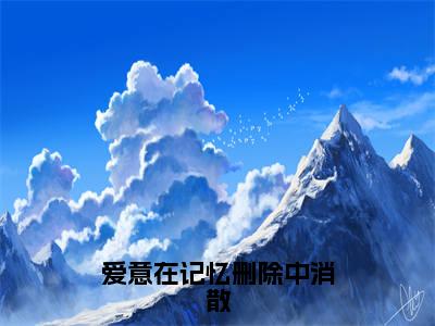 (番外)+(全文)爱意在记忆删除中消散：全文+后续（苏梨陆瑾时）全文免费阅读无弹窗大结局_爱意在记忆删除中消散：全文+后续最新章节列表_笔趣阁（苏梨陆瑾时）