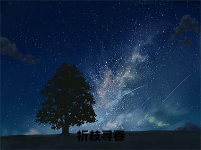 热门小说赵新玲徐君昊全文免费阅读无弹窗大结局-折枝寻春全文无弹窗免费阅读大结局