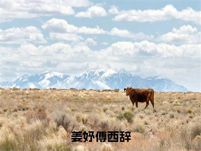 姜妤傅西辞(姜妤傅西辞)全文免费完结版阅读_(姜妤傅西辞)姜妤傅西辞最新章节列表笔趣阁