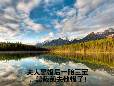 今日热读洛晚星谢南凛：结局+番外（夫人离婚后一胎三宝，总裁前夫他慌了！）全文免费阅读无弹窗大结局_(夫人离婚后一胎三宝，总裁前夫他慌了！：结局+番外)最新章节列表_笔趣阁（夫人离婚后一胎三宝，总裁前夫他慌了！）