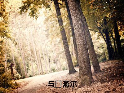 与婳燕尔（云婳司珩）全文免费阅读_与婳燕尔言诺诺，井傅宸小说最新章节列表笔趣阁