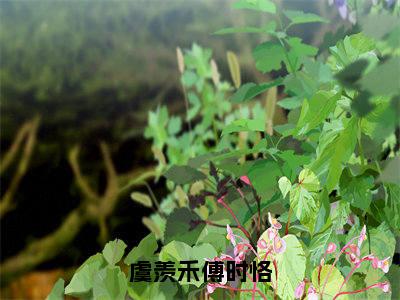 虞羡禾傅时恪(虞羡禾傅时恪)全文免费阅读无弹窗大结局_虞羡禾傅时恪最新章节列表-笔趣阁虞羡禾傅时恪