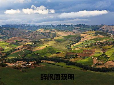 (番外)+(全文)辞枫周瑛明:后续+全文(周瑛明辞枫)全文免费阅读无弹窗大结局_(辞枫周瑛明:后续+全文免费阅读全文大结局)最新章节列表_笔趣阁(辞枫周瑛明:后续+全文)