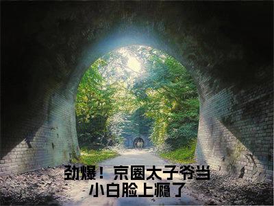 劲爆！京圈太子爷当小白脸上瘾了（时靳琛沈念筠全文在线阅读）-劲爆！京圈太子爷当小白脸上瘾了小说（时靳琛沈念筠）免费阅读最新章节列表无弹窗