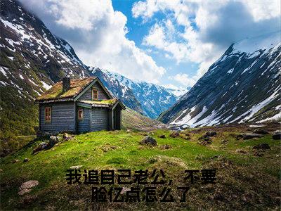 我追自己老公,不要脸亿点怎么了(虞泠靳越辛小说)全文免费阅读无弹窗大结局_(虞泠靳越辛)小说最新章节列表