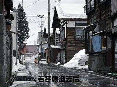 若容颜逝去后小说全文免费阅读(傅谨年唐静宛)全文免费阅读无弹窗_傅谨年唐静宛小说全文免费阅读