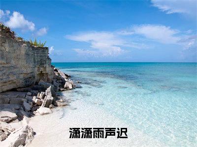 潇潇雨声迟小说全文免费阅读无弹窗大结局-沈聿风纪青语小说在哪里可以看