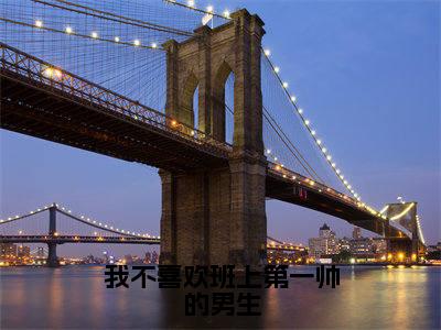 夏可沈念小说(我不喜欢班上第一帅的男生)全文免费阅读无弹窗大结局_夏可沈念小说最新章节列表