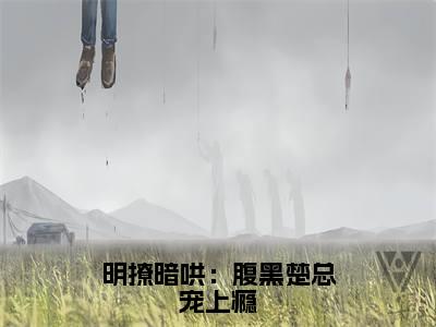 明撩暗哄:腹黑楚总宠上瘾(楚诏离徐冰烟)小说全文免费_明撩暗哄:腹黑楚总宠上瘾(楚诏离徐冰烟)最新章节目录笔趣阁