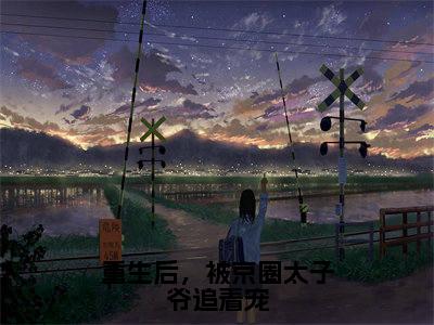 重生后，被京圈太子爷追着宠（时落葵小说）全文免费阅读无弹窗大结局_时落葵小说免费阅读最新章节列表
