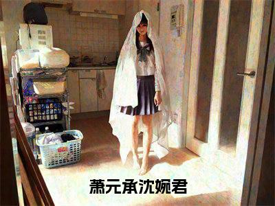 萧元承沈婉君小说(萧元承沈婉君)全文免费阅读_(萧元承沈婉君)萧元承沈婉君最新章节列表笔趣阁