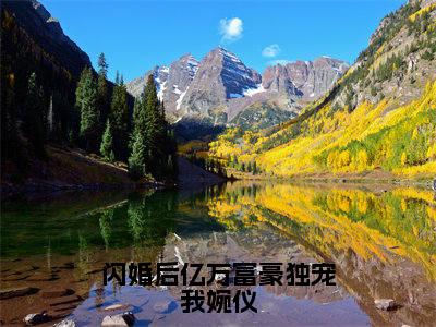(番外)+(全文)闪婚后亿万富豪独宠我婉仪:全文+后续(顾北辰婉仪)小说最新列表_闪婚后亿万富豪独宠我婉仪(顾北辰婉仪)全文阅读无弹窗闪婚后亿万富豪独宠我婉仪:全文+后续