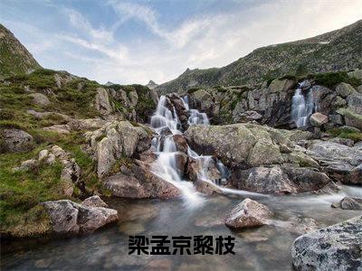 (番外)+(全文)梁孟京黎枝梁孟京黎枝：全文+后续+结局（梁孟京黎枝）全文免费阅读无弹窗大结局_梁孟京黎枝：全文+后续+结局最新章节列表_笔趣阁（梁孟京黎枝梁孟京黎枝：全文+后续+结局）