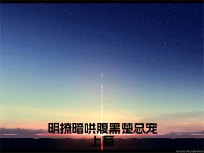 明撩暗哄腹黑楚总宠上瘾小说(楚诏离徐冰烟)+后续+结局在线阅读