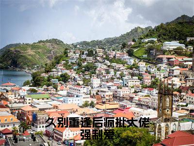 热门章节_笔趣阁（久别重逢后疯批大佬强制爱）久别重逢后疯批大佬强制爱小说(池欢司聿)章节在线阅读