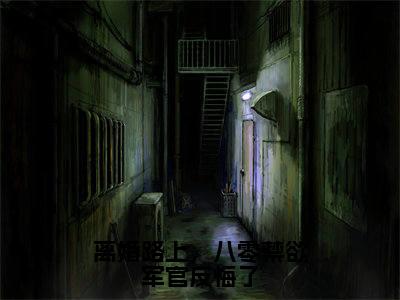 新章速递离婚路上,八零禁欲军官反悔了小说小说结尾阅读无广告(陆时年李轻媚)