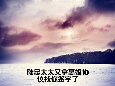 热文推荐陆总太太又拿离婚协议找你签字了附加(纪舒陆津川)(陆总太太又拿离婚协议找你签字了)最新章节列表