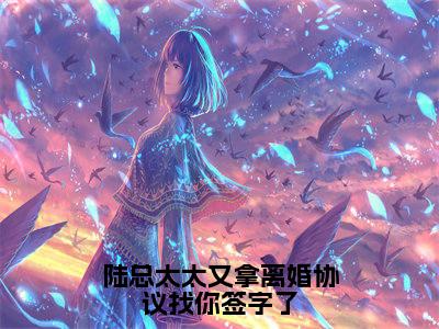 陆总太太又拿离婚协议找你签字了阅读无弹窗大结局_纪舒陆津川穿越小说免费阅读_笔趣阁