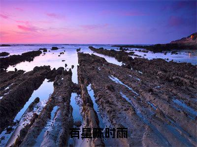 有星陈时雨结局+番外（蒋引星陈时雨）全文免费阅读全集完整版_有星陈时雨结局+番外最新章节无弹窗（蒋引星陈时雨）