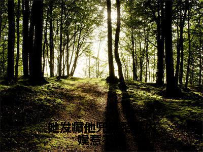 (姜辞沈南煜)她发癫他兜底整顿内娱惹不起姜辞沈南煜无删减小说在线无广告高口碑小说