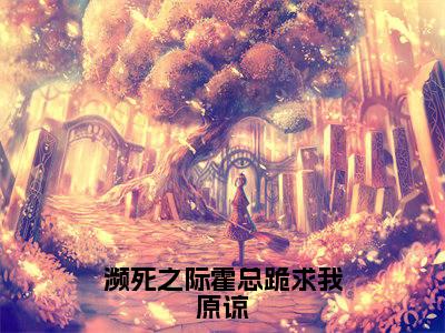 濒死之际霍总跪求我原谅（霍北爵苏暖）全文免费阅读无弹窗大结局_霍北爵苏暖免费阅读最新章节列表_笔趣阁
