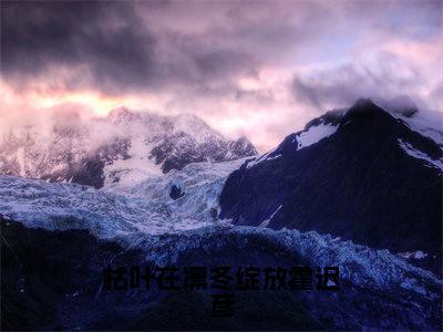 (番外)+(全文)枯叶在凛冬绽放霍迟彦全文+后续+结局（沈梦初霍迟彦）全文免费阅读无弹窗大结局_枯叶在凛冬绽放霍迟彦全文+后续+结局最新章节列表_笔趣阁（沈梦初霍迟彦）