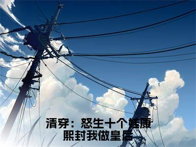 清穿:怒生十个娃康熙封我做皇后(林琬)全文免费在线阅读_清穿:怒生十个娃康熙封我做皇后全文阅读_笔趣阁(林琬)