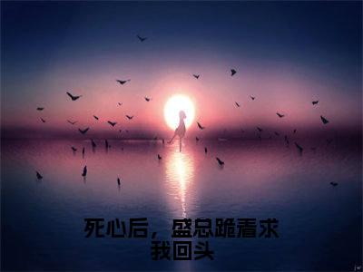 死心后，盛总跪着求我回头（林慕绾盛景琛）全文免费阅读无弹窗大结局_死心后，盛总跪着求我回头最新章节列表-笔趣阁林慕绾盛景琛