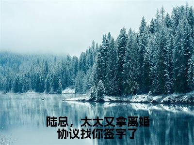 陆总,太太又拿离婚协议找你签字了(纪舒陆津川)小说全文免费阅读-陆总,太太又拿离婚协议找你签字了(纪舒陆津川)免费在线阅读完整版