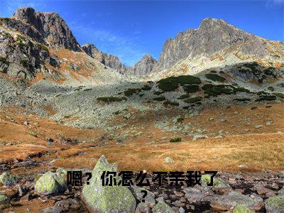（苏其羽江寻竹）苏其羽江寻竹小说(嗯？你怎么不亲我了？)整书在线无广告高口碑小说