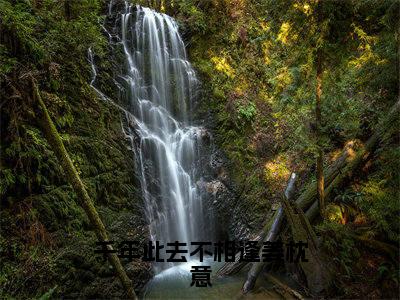千年此去不相逢姜枕意盛驰序姜枕意全文阅读_千年此去不相逢姜枕意盛驰序姜枕意全文免费阅读